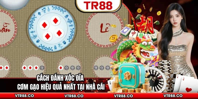 Cách Đánh Xóc Đĩa Cơm Gạo Hiệu Quả Nhất Tại Nhà Cái