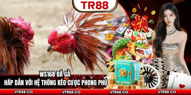 Ws168 Đá Gà Hấp Dẫn Với Hệ Thống Kèo Cược Phong Phú