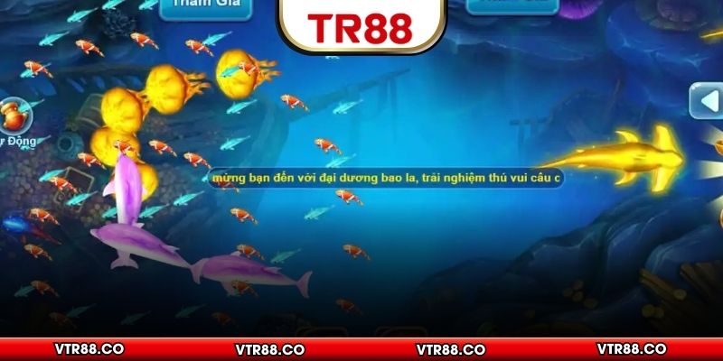 Nắm vững quy tắc để săn thưởng hiệu quả hơn