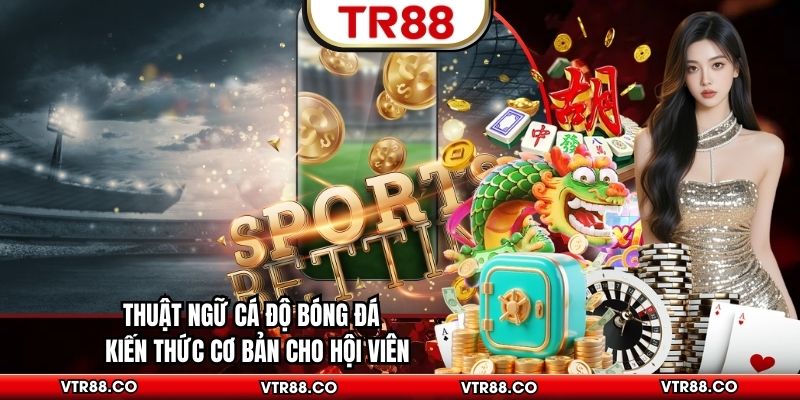 Thuật Ngữ Cá Độ Bóng Đá - Kiến Thức Cơ Bản Cho Hội Viên